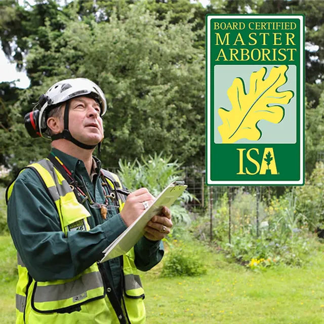 An arborist reviewing a property plan on a clipboard, wearing the Board Certified Master Arborist badge