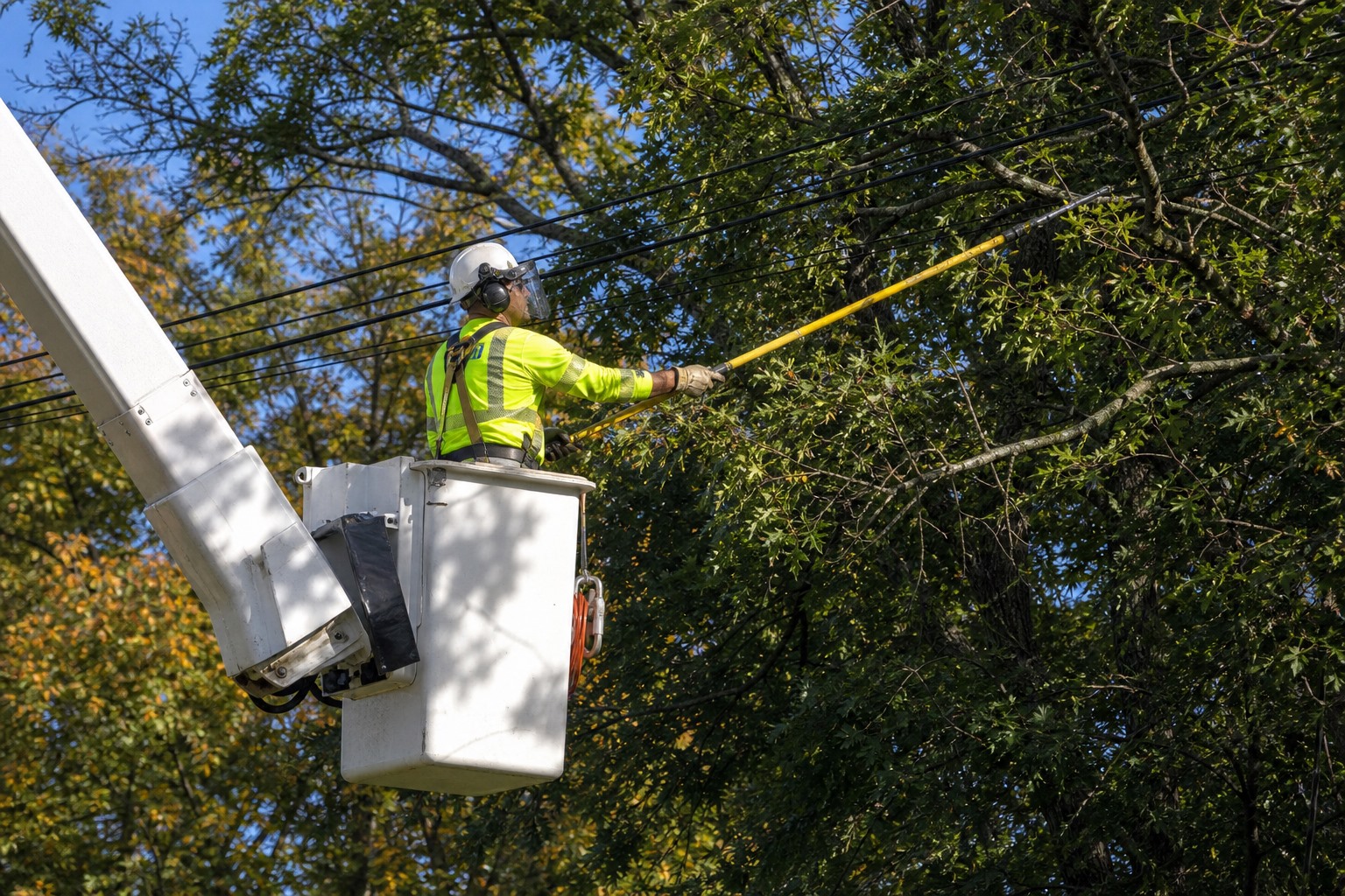 A crew pruning limbs clear of a road corridor ahead of storm season